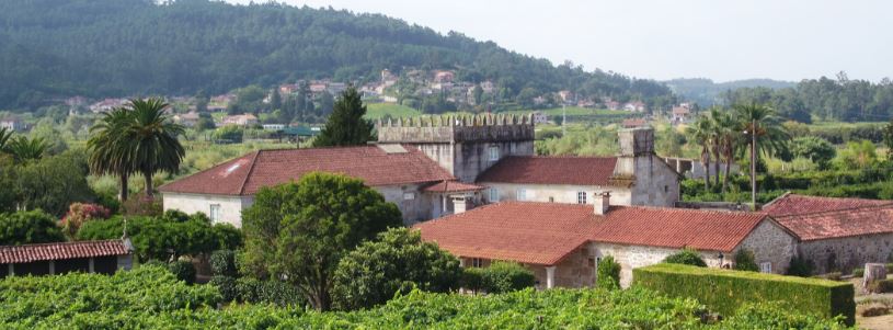 Torres elabora un Albariño en depósitos de granito