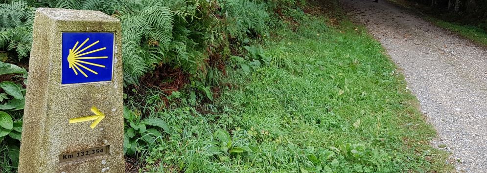 Jornada de análisis del Camino Primitivo