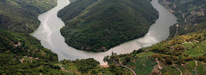 Ribeira Sacra reúne al vino con D.O. de España