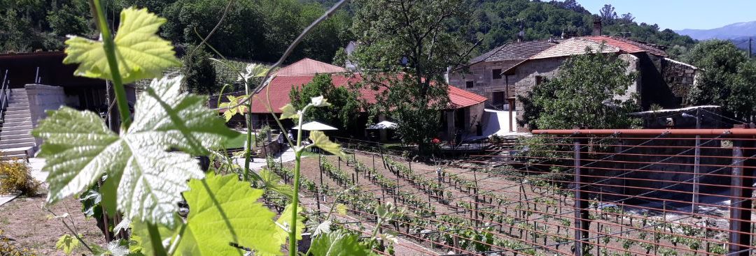 Pazo de Toubes, la nueva bodega de Viña Costeira