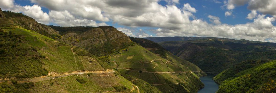 Previsiones tímidas para el verano en Ribeira Sacra