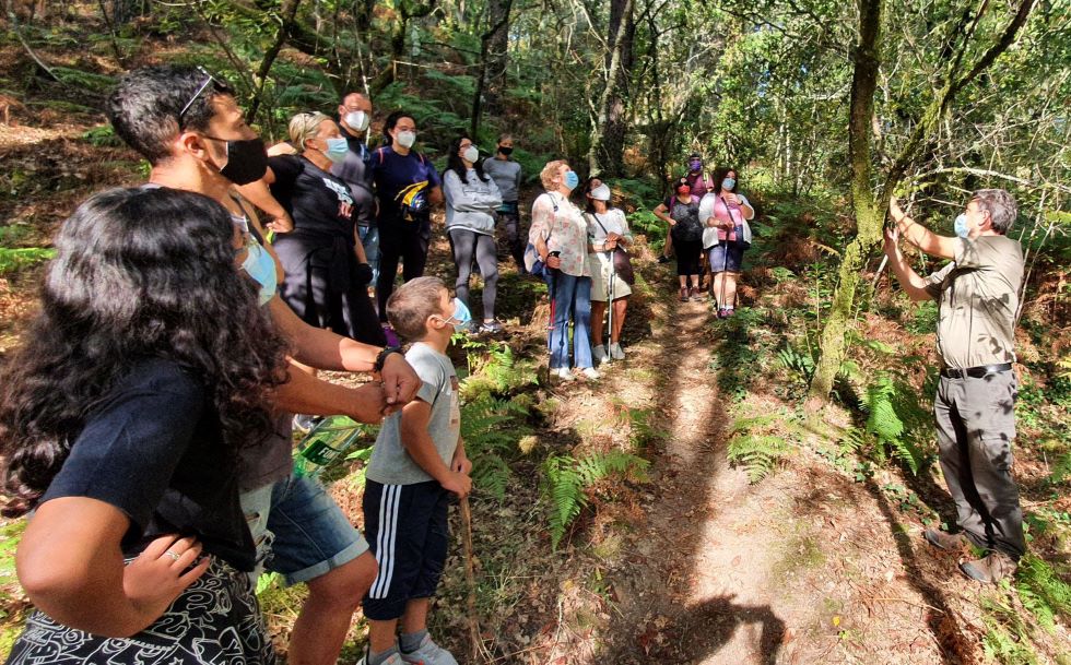 Los ‘Bosques Terapéuticos’ triunfan en Pontevedra