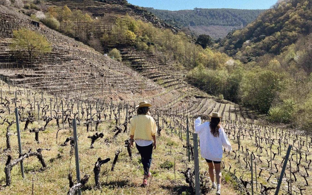 Trekking por los bancales de la Ribeira Sacra, nueva propuesta de ocio activo de Ponte da Boga