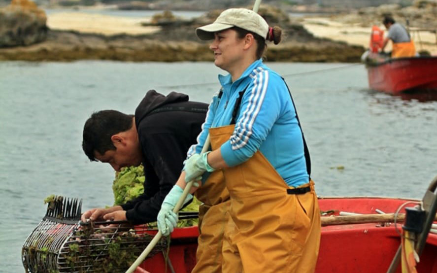 La Asociación de Mulleres do Mar de Arousa crea el Premio Muller Salgada