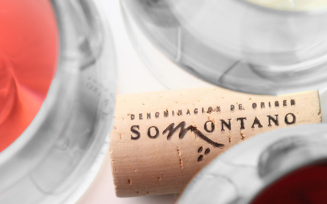 La añada 2020 de los vinos DOP Somontano es “Excelente”