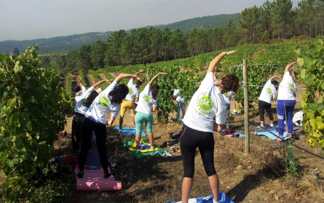 La Deputación de Pontevedra aprueba una línea de ayudas para actividades turísticas