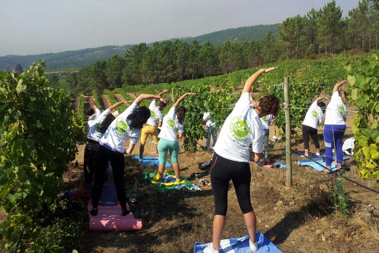 yoga viñedos