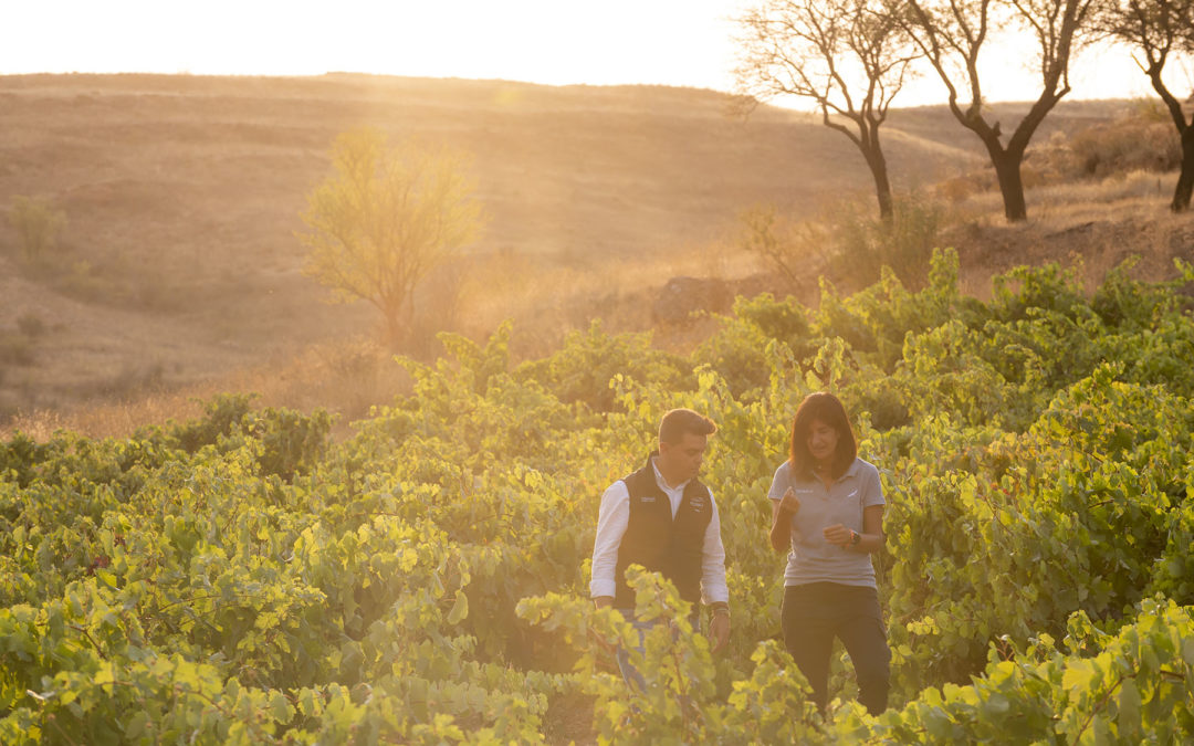 Milsetentayseis presenta su proyecto de interpretación de la Ribera del Duero