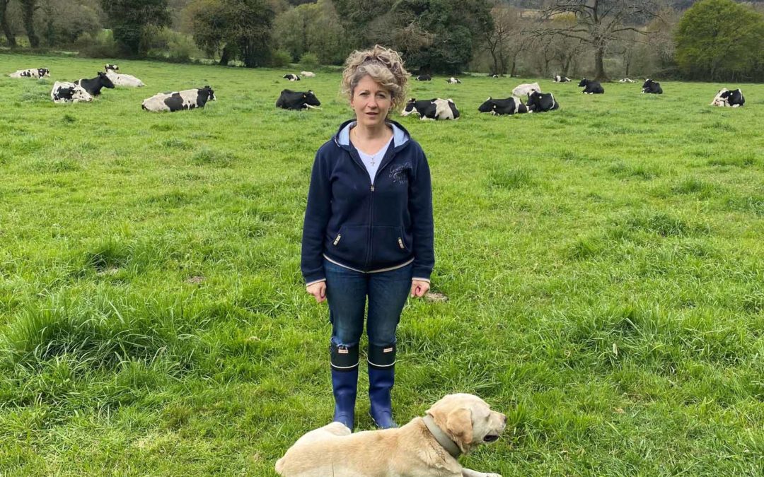 Nace la Federación de Ganaderas Españolas ‘Somos Tierra’