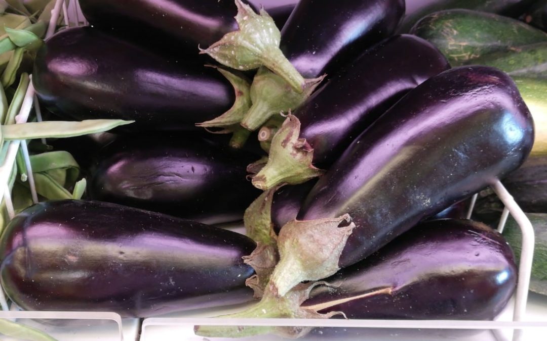 #somosNutrisensatos, movimiento para actuar contra la desinformación en el ámbito alimentario