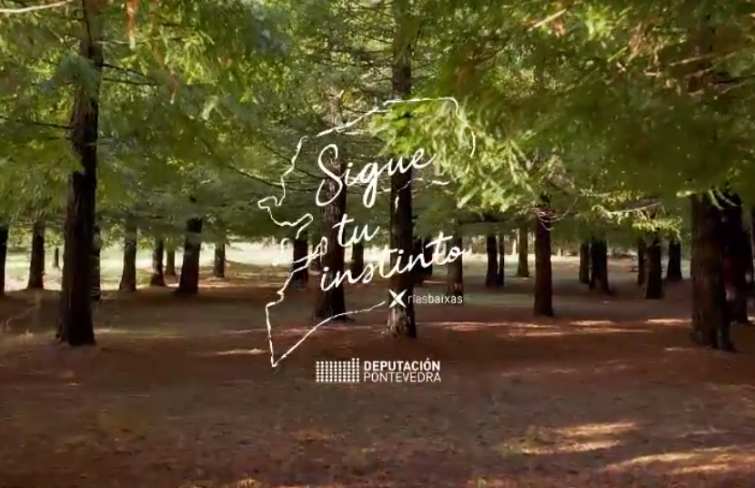 Nuevo premio para la campaña de Turismo Rías Baixas ‘Sigue tu instinto’