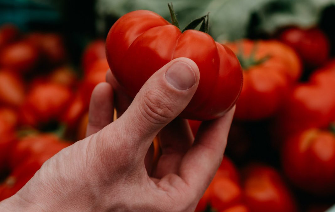 El Ministerio de Agricultura, Pesca y Alimentación convoca el Premio “Alimentos de España 2021”