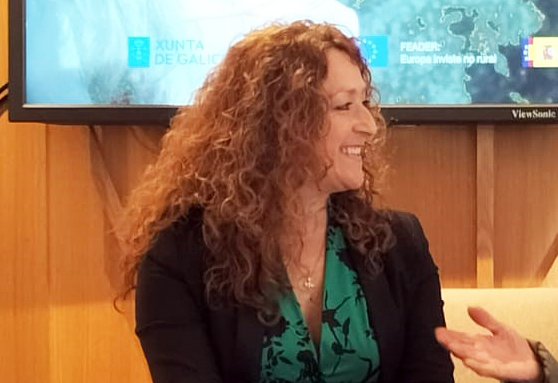 mel de galicia