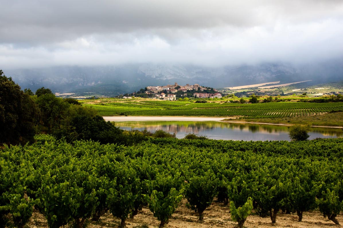 El Ministerio de Agricultura, Pesca y Alimentación reconoce 14 nuevos viñedos singulares en la DOCa Rioja